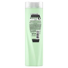 Shampoo Seda Rayza Babosa E Óleos 325 ML