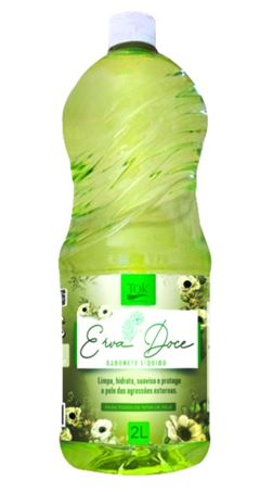 Sabonete Líquido Tok Erva Doce 2 Litros